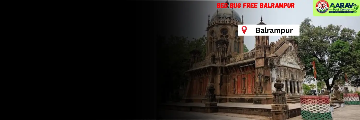 bed bug treatment in balrampur, bed bug control balrampur, bed bug removal service in balrampur, bed bug pest control balrampur, professional bed bug control in balrampur, bed bug exterminator balrampur, bed bug price list in balrampur, bed bug treatment cost balrampur, bed bug control price in balrampur, affordable bed bug treatment balrampur, residential bed bug service balrampur, mattress bed bug treatment in balrampur, best bed bug control service balrampur, aarav pest control balrampur, aarav pest control bed bug control, bed bug control in chhattisgarh, bed bug treatment service chhattisgarh, bed bug removal service chhattisgarh, bed bug pest control in chhattisgarh, bed bug price list chhattisgarh, professional pest control services in chhattisgarh