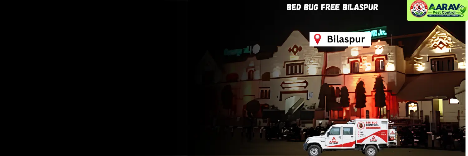 bed bug treatment in bilaspur, bed bug control in bilaspur, bed bug removal service bilaspur, bed bug pest control in bilaspur, professional bed bug treatment bilaspur, bed bug exterminator in bilaspur, bed bug price list in bilaspur, bed bug control price in bilaspur, bed bug treatment cost bilaspur, affordable bed bug control bilaspur, home bed bug treatment in bilaspur, mattress bed bug removal bilaspur, residential bed bug service bilaspur, aarav pest control bilaspur, aarav pest control bed bug control, bed bug control service in chhattisgarh, bed bug treatment chhattisgarh, bed bug removal service chhattisgarh, bed bug pest control in chhattisgarh, bed bug price list chhattisgarh, professional bed bug control chhattisgarh