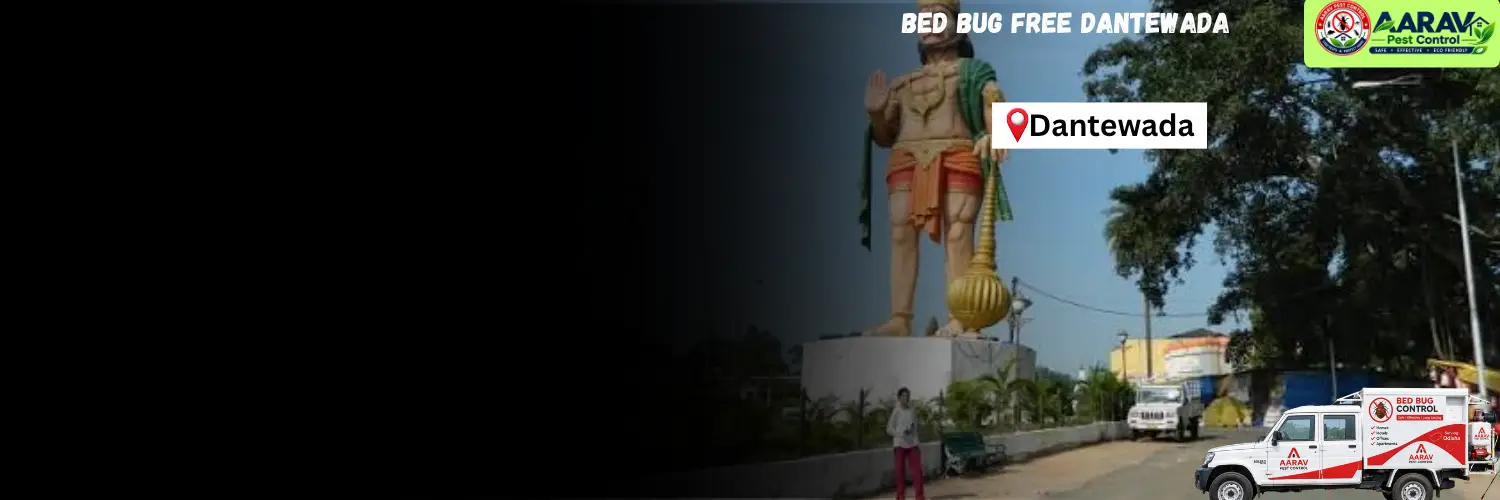 bed bug control in dantewada, bed bug treatment dantewada, bed bug removal service in dantewada, bed bug pest control dantewada, professional bed bug control dantewada, bed bug exterminator in dantewada, bed bug price list in dantewada, bed bug treatment cost dantewada, bed bug control price dantewada, affordable bed bug treatment in dantewada, residential bed bug control dantewada, mattress bed bug treatment dantewada, home bed bug removal dantewada, aarav pest control dantewada, aarav pest control bed bug service, bed bug control in chhattisgarh, bed bug treatment service chhattisgarh, bed bug removal chhattisgarh, bed bug pest control in chhattisgarh, bed bug price list in chhattisgarh, professional pest control services chhattisgarh