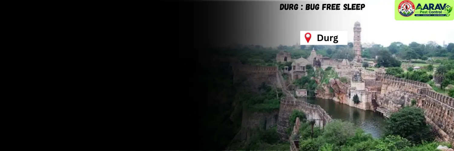 bed bug control in durg, bed bug treatment in durg, bed bug removal service durg, bed bug pest control in durg, professional bed bug control durg, bed bug exterminator in durg, bed bug price list in durg, bed bug control price in durg, bed bug treatment cost durg, affordable bed bug treatment in durg, residential bed bug control durg, mattress bed bug treatment durg, home bed bug removal durg, best bed bug service in durg, aarav pest control durg, aarav pest control bed bug service, bed bug control in chhattisgarh, bed bug treatment chhattisgarh, bed bug removal service in chhattisgarh, bed bug pest control chhattisgarh, bed bug price list in chhattisgarh, professional pest control services chhattisgarh