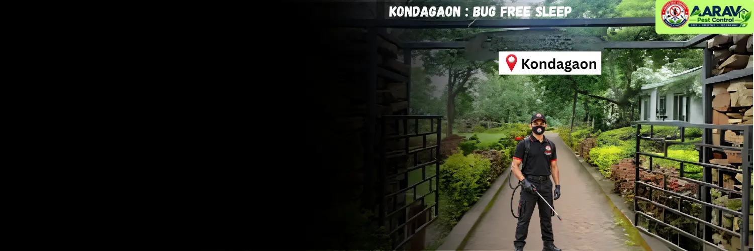 bed bug control in kondagaon, bed bug treatment in kondagaon, bed bug removal service kondagaon, bed bug pest control in kondagaon, professional bed bug control kondagaon, bed bug exterminator in kondagaon, bed bug price list in kondagaon, bed bug control price kondagaon, bed bug treatment cost in kondagaon, affordable bed bug treatment kondagaon, bug free sleep in kondagaon, bed bug control for bug free sleep kondagaon, mattress bed bug treatment kondagaon, home bed bug removal kondagaon, aarav pest control kondagaon, aarav pest control bed bug service, bed bug control in chhattisgarh, bed bug treatment chhattisgarh, bed bug removal service in chhattisgarh, bed bug pest control chhattisgarh, bed bug price list chhattisgarh, professional bed bug control chhattisgarh