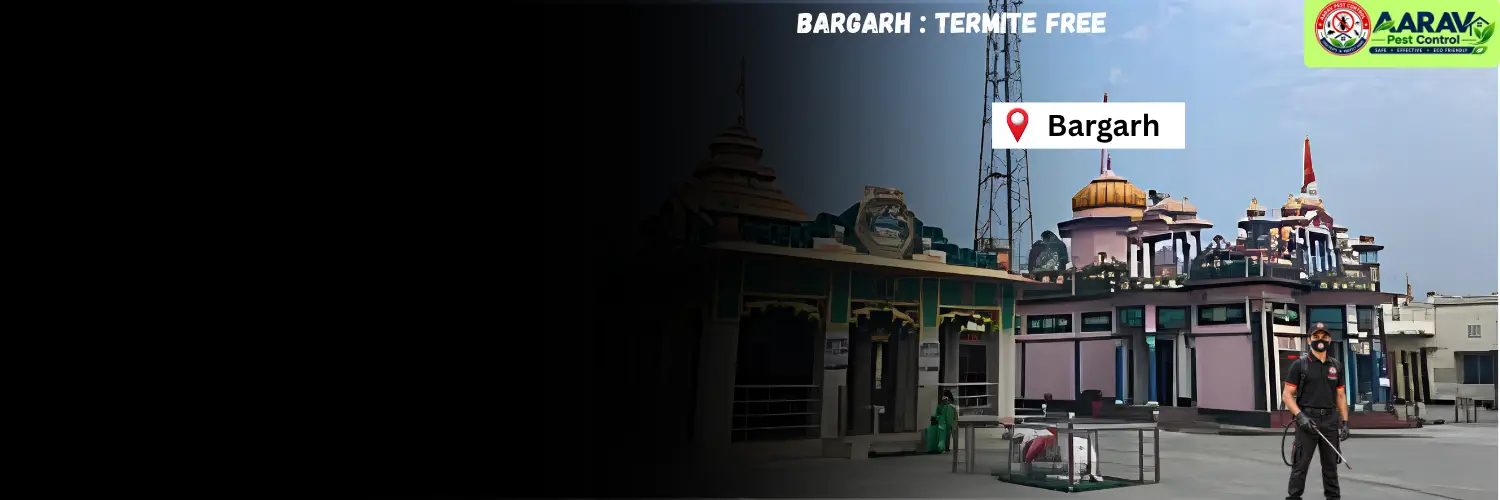 termite control in bargarh, termite treatment in bargarh, termite control bargarh, termite treatment bargarh, best termite control in bargarh, professional termite control bargarh, affordable termite treatment bargarh, termite pest control bargarh, termite exterminator bargarh, termite removal service bargarh, termite inspection bargarh, termite prevention bargarh, anti termite treatment bargarh, pre construction termite treatment bargarh, post construction termite treatment bargarh, residential termite control bargarh, commercial termite control bargarh, home termite control bargarh, office termite control bargarh, termite control service near me bargarh, termite control company in bargarh, termite control services bargarh, termite treatment services bargarh, wood termite treatment bargarh, soil termite treatment bargarh, termite chemical treatment bargarh, termite barrier treatment bargarh, termite drilling treatment bargarh, termite control for house bargarh, termite control for furniture bargarh, termite control price in bargarh, termite treatment price in bargarh, termite control price list bargarh, termite treatment price list bargarh, termite control cost bargarh, termite treatment cost bargarh, termite control charges bargarh, termite treatment charges bargarh, termite control rates bargarh, termite treatment rates bargarh, termite control service price bargarh, anti termite treatment price bargarh, pre construction termite treatment price bargarh, post construction termite treatment price bargarh, aarav pest control bargarh, aarav pest control termite treatment, aarav pest control termite control bargarh, best termite treatment company bargarh, termite control experts bargarh, termite control specialist bargarh, termite control in odisha, termite treatment in odisha, termite control in barpali, termite control in padampur, termite control in attabira, termite control in bijepur, termite control in sohela, termite control in paikmal.