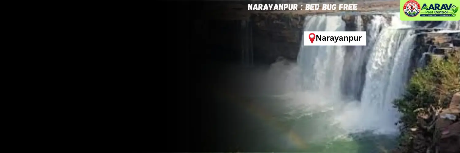 bed bug control in narayanpur, bed bug treatment narayanpur, bed bug removal service in narayanpur, bed bug pest control narayanpur, professional bed bug control narayanpur, bed bug exterminator in narayanpur, bed bug price list in narayanpur, bed bug control price narayanpur, bed bug treatment cost in narayanpur, affordable bed bug treatment narayanpur, home bed bug control narayanpur, mattress bed bug treatment in narayanpur, residential bed bug service narayanpur, bug free sleep in narayanpur, aarav pest control narayanpur, aarav pest control bed bug treatment, bed bug control service in chhattisgarh, bed bug treatment chhattisgarh, bed bug removal service chhattisgarh, bed bug pest control in chhattisgarh, bed bug price list chhattisgarh, professional bed bug control in chhattisgarh