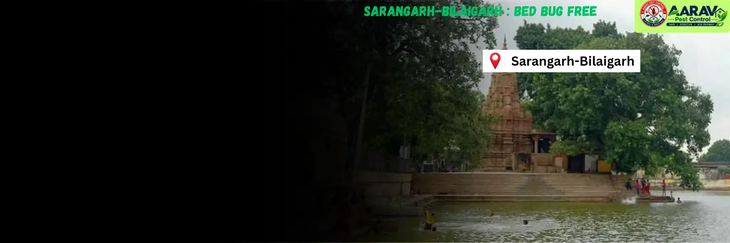 bed bug treatment in sarangarh bilaigarh, bed bug control sarangarh bilaigarh, bed bug removal service in sarangarh bilaigarh, bed bug pest control sarangarh bilaigarh, professional bed bug control sarangarh bilaigarh, bed bug exterminator in sarangarh bilaigarh, bed bug price list in sarangarh bilaigarh, bed bug control price sarangarh bilaigarh, bed bug treatment cost in sarangarh bilaigarh, affordable bed bug treatment sarangarh bilaigarh, residential bed bug control in sarangarh bilaigarh, mattress bed bug treatment sarangarh bilaigarh, bug free sleep sarangarh bilaigarh, bed bug service for bug free sleep, aarav pest control sarangarh bilaigarh, aarav pest control bed bug service, bed bug control in chhattisgarh, bed bug treatment service chhattisgarh, bed bug removal service in chhattisgarh, bed bug pest control chhattisgarh, bed bug price list chhattisgarh, professional bed bug control in chhattisgarh