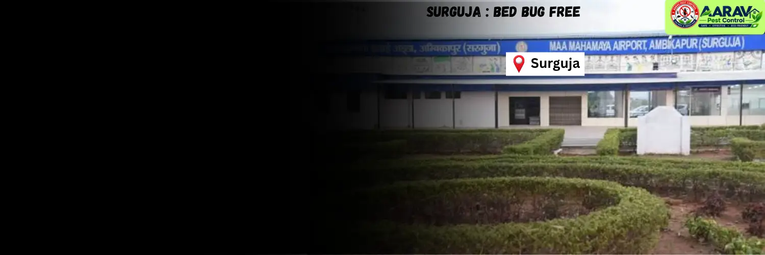 bed bug control in surguja, bed bug treatment in surguja, bed bug removal service surguja, bed bug pest control in surguja, professional bed bug control surguja, bed bug exterminator in surguja, bed bug price list in surguja, bed bug control price surguja, bed bug treatment cost in surguja, affordable bed bug treatment surguja, residential bed bug control in surguja, mattress bed bug treatment surguja, home bed bug removal in surguja, bug free sleep surguja, aarav pest control surguja, aarav pest control bed bug service, bed bug control service chhattisgarh, bed bug treatment in chhattisgarh, bed bug removal service chhattisgarh, bed bug pest control chhattisgarh, bed bug price list chhattisgarh, professional bed bug control in chhattisgarh