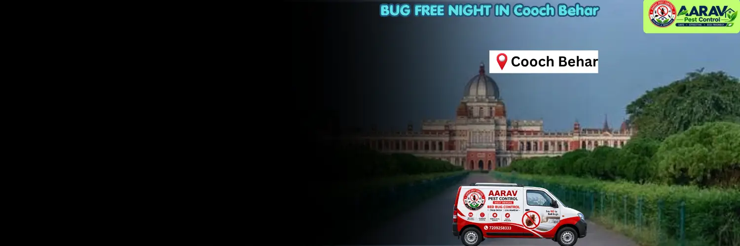 bed bug control in cooch behar, bed bug removal service cooch behar, bed bug treatment cost in cooch behar, bed bug pest control cooch behar, bed bug price list cooch behar, professional bed bug treatment cooch behar, affordable bed bug control cooch behar, bed bug extermination service cooch behar, home bed bug removal cooch behar, commercial bed bug control cooch behar, bed bug treatment in west bengal, west bengal bed bug control service, aarav pest control cooch behar, aarav pest control bed bug removal