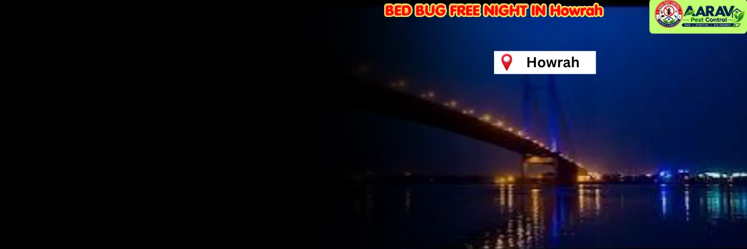 bed bug control in howrah, bed bug treatment service howrah, bed bug removal in howrah, bed bug treatment price in howrah, bed bug control cost list howrah, best bed bug exterminator howrah, professional bed bug pest control howrah, low cost bed bug treatment howrah, bed bug spray service howrah, mattress bed bug removal howrah, home and hotel bed bug control howrah, bed bug solution in west bengal, howrah bed bug treatment experts, aarav pest control howrah, aarav pest control bed bug removal
