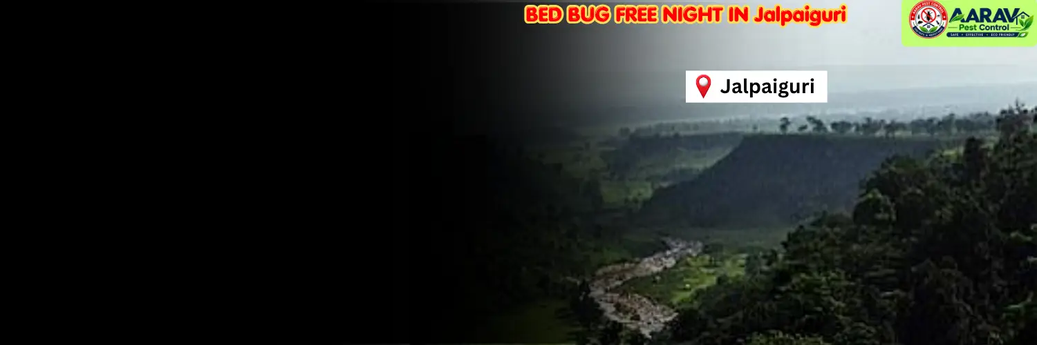 bed bug treatment in jalpaiguri, bed bug control service jalpaiguri, bed bug removal cost in jalpaiguri, bed bug pest control jalpaiguri, bed bug treatment price list jalpaiguri, professional bed bug removal jalpaiguri, affordable bed bug exterminator jalpaiguri, bed bug infestation treatment jalpaiguri, mattress bed bug control jalpaiguri, residential bed bug service jalpaiguri, hotel bed bug treatment jalpaiguri, bed bug control in west bengal, jalpaiguri bed bug removal experts, aarav pest control jalpaiguri, aarav pest control bed bug control
