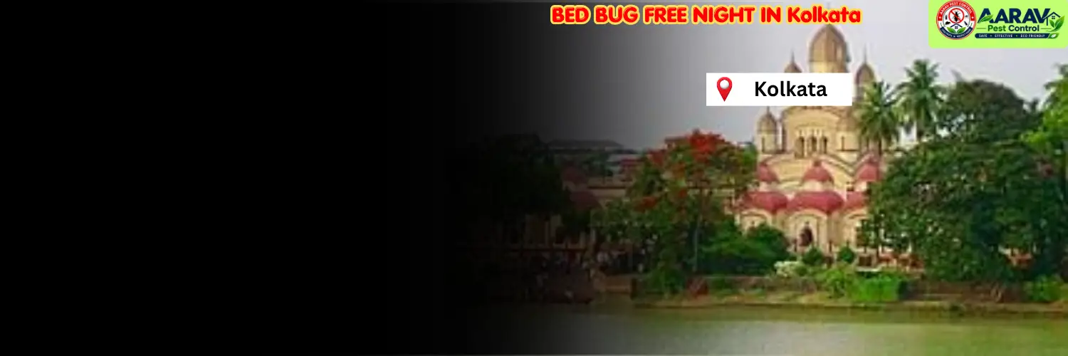 bed bug control in kolkata, bed bug treatment service kolkata, bed bug removal company kolkata, bed bug treatment price in kolkata, bed bug control price list kolkata, best bed bug pest control kolkata, professional bed bug exterminator kolkata, affordable bed bug treatment kolkata, residential bed bug removal kolkata, hotel bed bug control kolkata, mattress bed bug treatment kolkata, chemical bed bug treatment kolkata, same day bed bug removal kolkata, bed bug control in west bengal, kolkata bed bug extermination service, aarav pest control kolkata, aarav pest control bed bug treatment