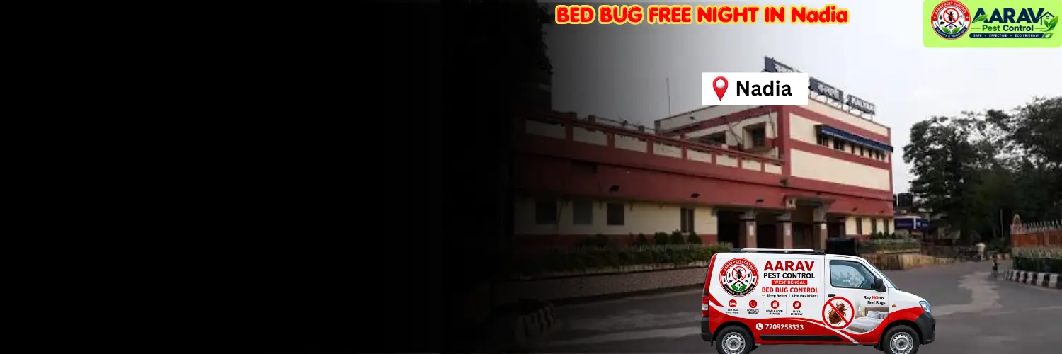 bed bug treatment in nadia, bed bug control service nadia, bed bug removal in nadia district, bed bug treatment cost nadia, bed bug price list in nadia, professional bed bug pest control nadia, best bed bug exterminator nadia, affordable bed bug removal service nadia, residential bed bug treatment nadia, commercial bed bug control nadia, mattress bed bug removal nadia, bed bug infestation solution nadia, bed bug service in west bengal, nadia bed bug control experts, aarav pest control nadia, aarav pest control bed bug removal