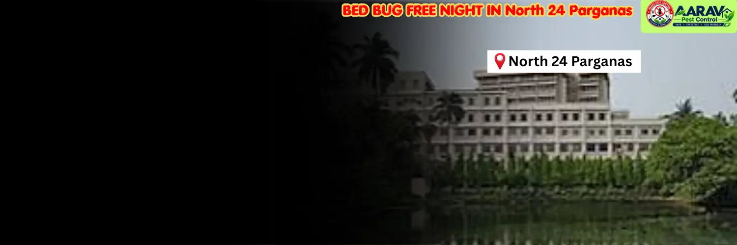 bed bug control in north 24 parganas, bed bug treatment north 24 parganas, bed bug removal service north 24 parganas, bed bug treatment price north 24 parganas, bed bug control cost list north 24 parganas, professional bed bug exterminator north 24 parganas, affordable bed bug pest control north 24 parganas, residential bed bug treatment north 24 parganas, hotel bed bug control north 24 parganas, mattress bed bug removal north 24 parganas, bed bug infestation control north 24 parganas, best bed bug service north 24 parganas, bed bug treatment in west bengal, west bengal bed bug control service, aarav pest control north 24 parganas, aarav pest control bed bug treatment