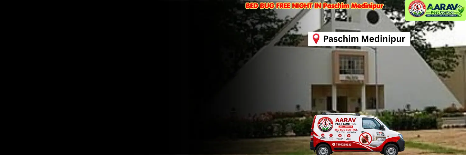 bed bug control in paschim medinipur, bed bug treatment service paschim medinipur, bed bug removal experts paschim medinipur, bed bug price list in paschim medinipur, bed bug treatment cost paschim medinipur, professional bed bug pest control paschim medinipur, affordable bed bug extermination paschim medinipur, residential bed bug control paschim medinipur, furniture bed bug treatment paschim medinipur, mattress bed bug removal paschim medinipur, bed bug infestation solution paschim medinipur, local bed bug service paschim medinipur, bed bug control in west bengal, west bengal bed bug treatment service, aarav pest control paschim medinipur, aarav pest control bed bug removal