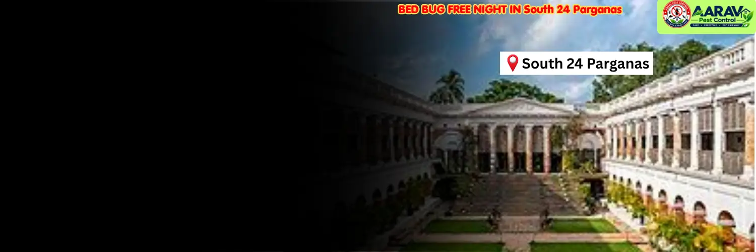 bed bug control in south 24 parganas, bed bug treatment service south 24 parganas, bed bug removal experts south 24 parganas, bed bug treatment price south 24 parganas, bed bug control cost list south 24 parganas, professional bed bug pest control south 24 parganas, affordable bed bug exterminator south 24 parganas, residential bed bug treatment south 24 parganas, hotel bed bug removal south 24 parganas, mattress bed bug control south 24 parganas, bed bug infestation solution south 24 parganas, local bed bug treatment south 24 parganas, bed bug service in west bengal, west bengal bed bug control company, aarav pest control south 24 parganas, aarav pest control bed bug treatment