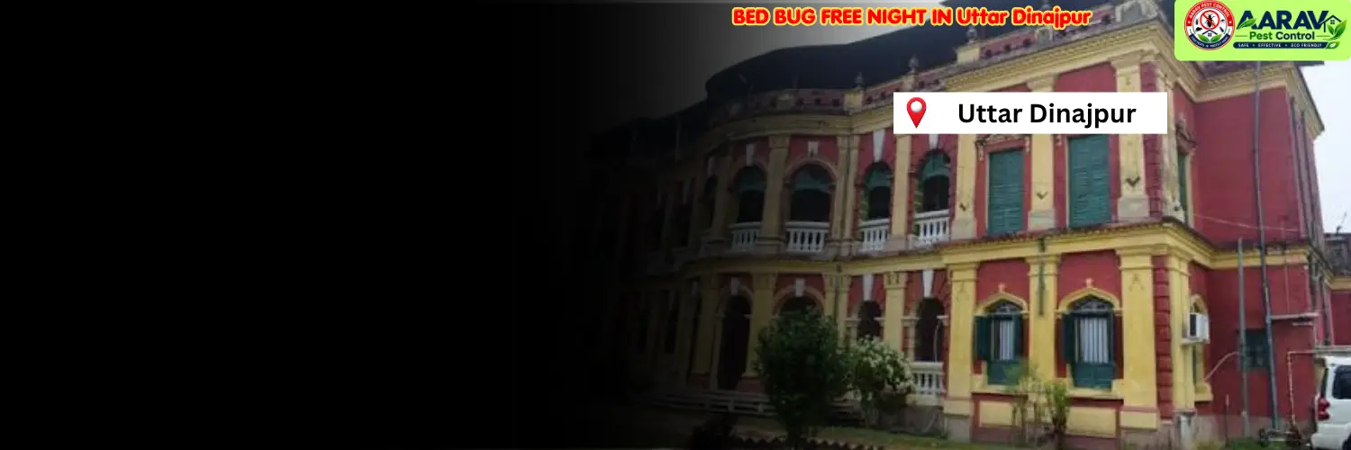 bed bug treatment in uttar dinajpur, bed bug control service uttar dinajpur, bed bug removal cost uttar dinajpur, bed bug price list in uttar dinajpur, professional bed bug exterminator uttar dinajpur, affordable bed bug pest control uttar dinajpur, bed bug infestation removal uttar dinajpur, residential bed bug treatment uttar dinajpur, commercial bed bug control uttar dinajpur, mattress bed bug removal service uttar dinajpur, local bed bug experts uttar dinajpur, bed bug treatment in west bengal, uttar dinajpur bed bug control company, aarav pest control uttar dinajpur, aarav pest control bed bug removal
