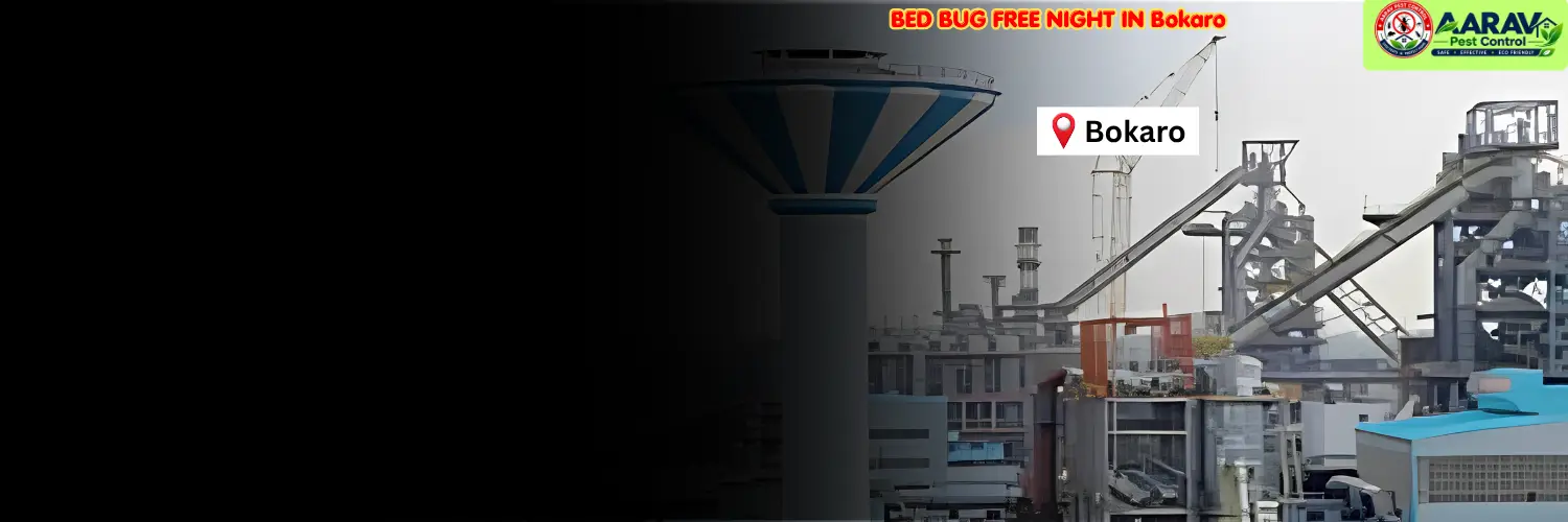 bed bug control in bokaro, bed bug treatment service bokaro, bed bug removal in bokaro, bed bug treatment price in bokaro, bed bug control cost bokaro, professional bed bug exterminator bokaro, affordable bed bug pest control bokaro, bed bug price list in bokaro, residential bed bug treatment bokaro, hotel bed bug control bokaro, mattress bed bug removal bokaro, bed bug infestation solution bokaro, bed bug control in jharkhand, bed bug treatment in jharkhand, aarav pest control bokaro, aarav pest control bed bug removal