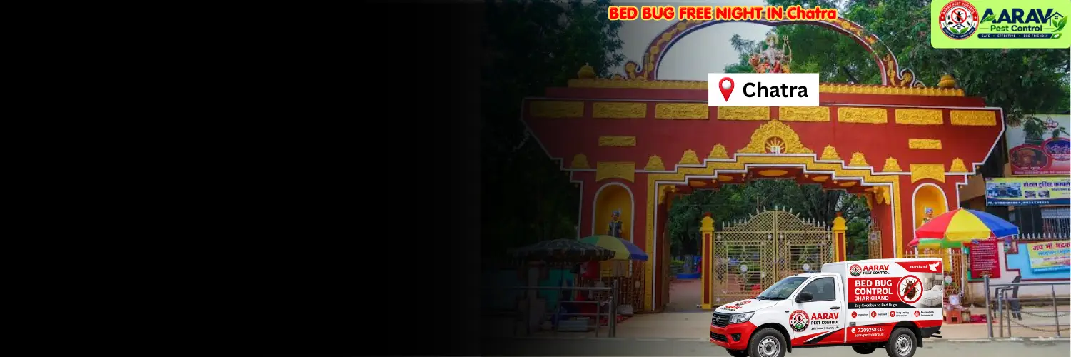 bed bug treatment in chatra, bed bug control service chatra, bed bug removal cost chatra, bed bug treatment price list chatra, professional bed bug pest control chatra, affordable bed bug exterminator chatra, bed bug infestation removal chatra, home bed bug treatment chatra, mattress bed bug control chatra, residential bed bug removal chatra, bed bug service in chatra jharkhand, reliable bed bug treatment chatra, bed bug control in jharkhand, jharkhand bed bug removal service, aarav pest control chatra, aarav pest control bed bug treatment