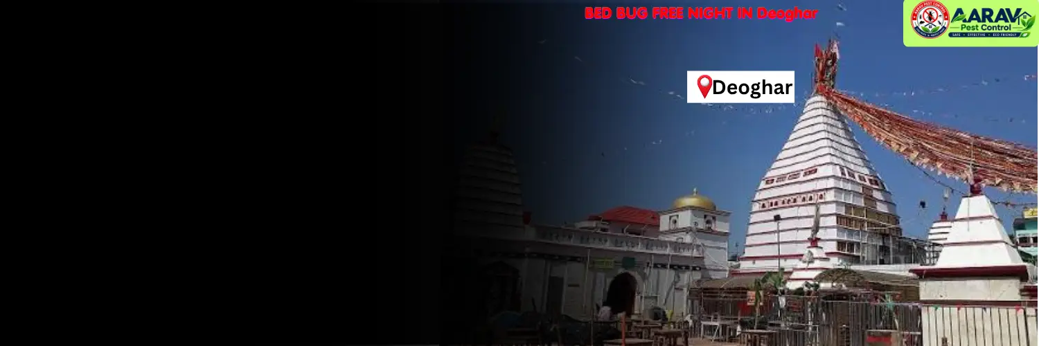 bed bug control in deoghar, bed bug treatment service deoghar, bed bug removal in deoghar, bed bug treatment price deoghar, bed bug control cost deoghar, bed bug pest control in madhupur, bed bug treatment in jasidih, bed bug removal service sarath, bed bug control in mohanpur deoghar, bed bug treatment in palojori, bed bug removal in sonaraithari, bed bug price list deoghar, affordable bed bug treatment deoghar jharkhand, bed bug control in jharkhand, professional bed bug exterminator deoghar, mattress bed bug treatment deoghar, bed bug treatment near me, best bed bug pest control deoghar, aarav pest control deoghar, aarav pest control bed bug treatment