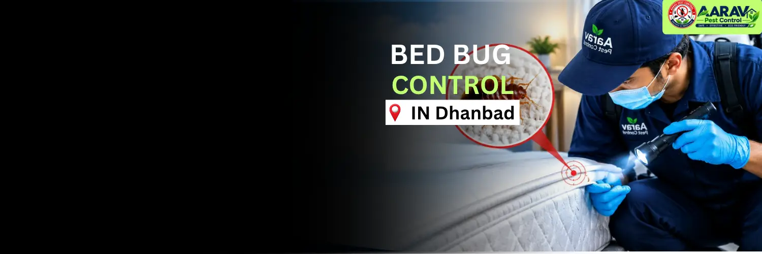 bed bug control in dhanbad, bed bug treatment service dhanbad, bed bug removal in dhanbad, bed bug treatment price dhanbad, bed bug control cost dhanbad, bed bug pest control in jharia, bed bug treatment in katras, bed bug removal service sindri, bed bug control in govindpur, bed bug treatment in nirsa, bed bug removal in tundi, bed bug pest control baliapur, bed bug treatment in baghmara, bed bug price list dhanbad, affordable bed bug control dhanbad jharkhand, professional bed bug exterminator dhanbad, mattress bed bug treatment dhanbad, bed bug treatment near me, best bed bug pest control dhanbad, aarav pest control dhanbad, aarav pest control bed bug treatment