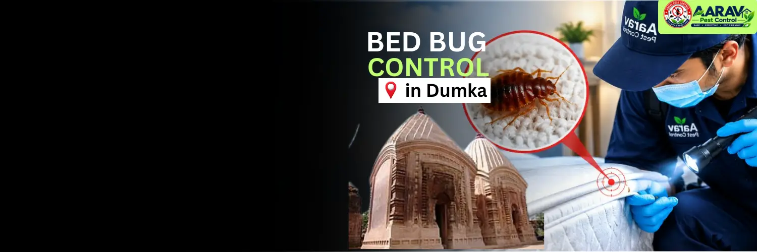 bed bug control in dumka, bed bug treatment service dumka, bed bug removal in dumka, bed bug treatment price dumka, bed bug control cost dumka, bed bug pest control in jarmundi, bed bug treatment in shikaripara, bed bug removal service jama, bed bug control in masalia, bed bug treatment in kathikund, bed bug removal in ranishwar, bed bug pest control gopikandar, bed bug treatment in ramgarh dumka, bed bug price list dumka, affordable bed bug treatment dumka jharkhand, professional bed bug control dumka, mattress bed bug treatment dumka, bed bug treatment near me, best bed bug removal service dumka, aarav pest control dumka, aarav pest control bed bug treatment