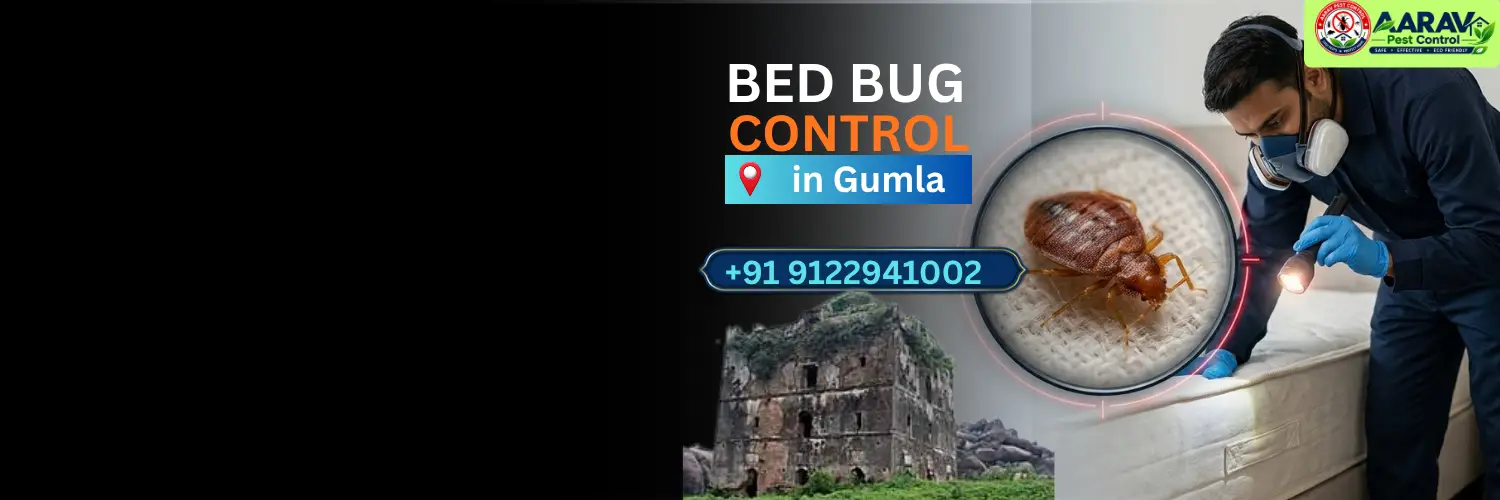bed bug control in gumla, bed bug treatment service gumla, bed bug removal in gumla, bed bug treatment price gumla, bed bug control cost gumla, bed bug pest control in sisai, bed bug treatment in bishunpur, bed bug removal service chainpur, bed bug control in palkot, bed bug treatment in basia, bed bug removal in ghaghra, bed bug pest control kamdara, bed bug treatment in raidih, bed bug price list gumla, affordable bed bug treatment gumla jharkhand, professional bed bug exterminator gumla, mattress bed bug treatment gumla, bed bug treatment near me, best bed bug control service gumla, aarav pest control gumla, aarav pest control bed bug treatment