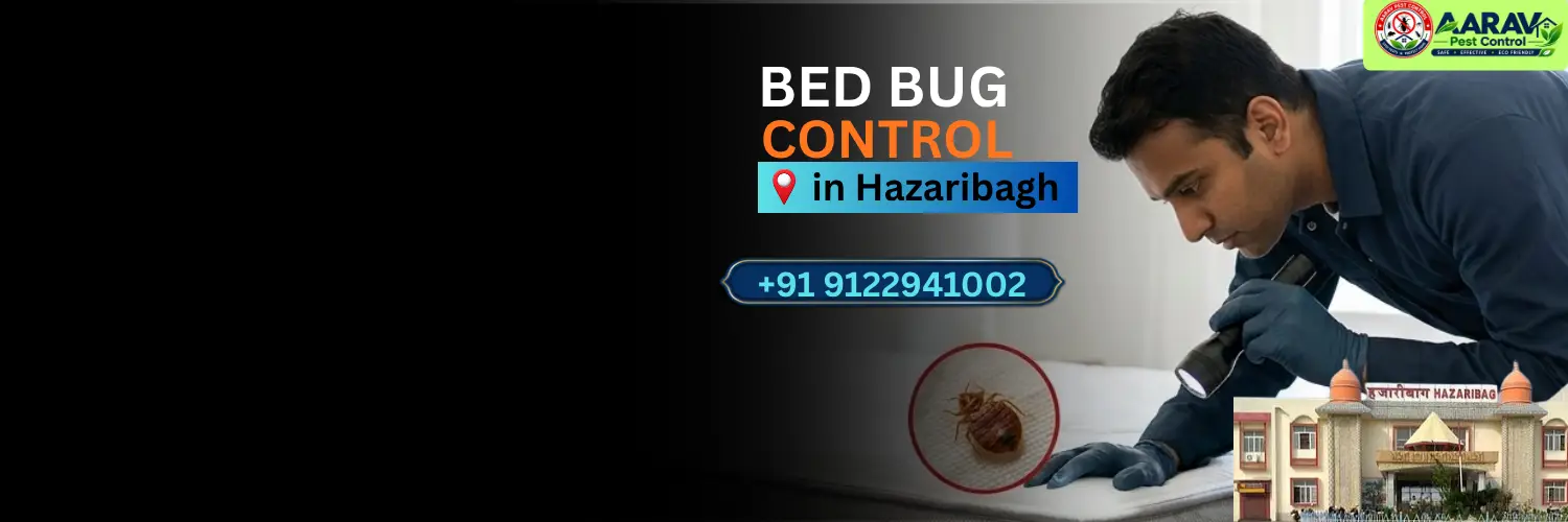 bed bug control in hazaribagh, bed bug treatment service hazaribagh, bed bug removal in hazaribagh, bed bug treatment price hazaribagh, bed bug control cost hazaribagh, bed bug pest control in barhi, bed bug treatment in barkagaon, bed bug removal service bishnugarh, bed bug control in katkamsandi, bed bug treatment in ichak, bed bug removal in chauparan, bed bug pest control keredari, bed bug treatment in churchu, bed bug price list hazaribagh, affordable bed bug treatment hazaribagh jharkhand, professional bed bug exterminator hazaribagh, mattress bed bug treatment hazaribagh, bed bug treatment near me, best bed bug control service hazaribagh, aarav pest control hazaribagh, aarav pest control bed bug treatment