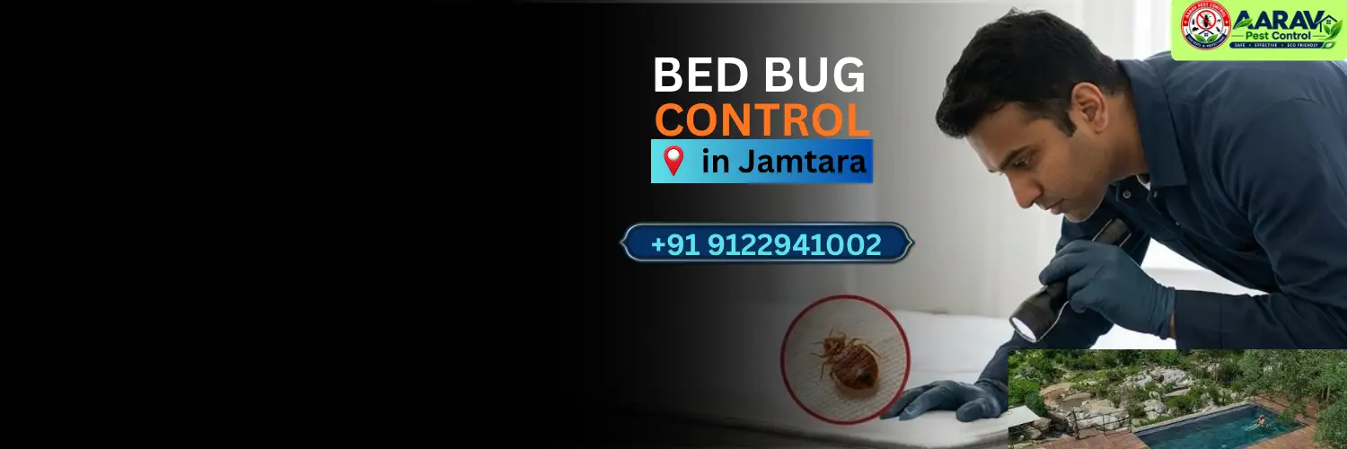 bed bug control in jamtara, bed bug treatment service jamtara, bed bug removal in jamtara, bed bug treatment price jamtara, bed bug control cost jamtara, bed bug pest control in mihijam, bed bug treatment in nala, bed bug removal service narayanpur, bed bug control in kundahit, bed bug treatment in fatehpur jamtara, bed bug removal in karmatar, bed bug pest control jamtara town, bed bug price list jamtara, affordable bed bug treatment jamtara jharkhand, professional bed bug exterminator jamtara, mattress bed bug treatment jamtara, bed bug treatment near me, home bed bug control jamtara, bed bug removal cost jamtara, aarav pest control jamtara, aarav pest control bed bug treatment