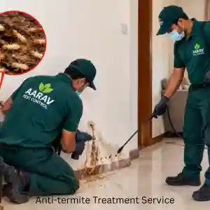 Anti-Termite Treatment Service