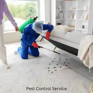 Pest Control Service
